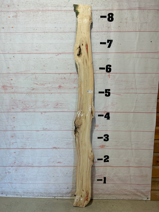 Live Edge Box Elder Sku#25751D-8