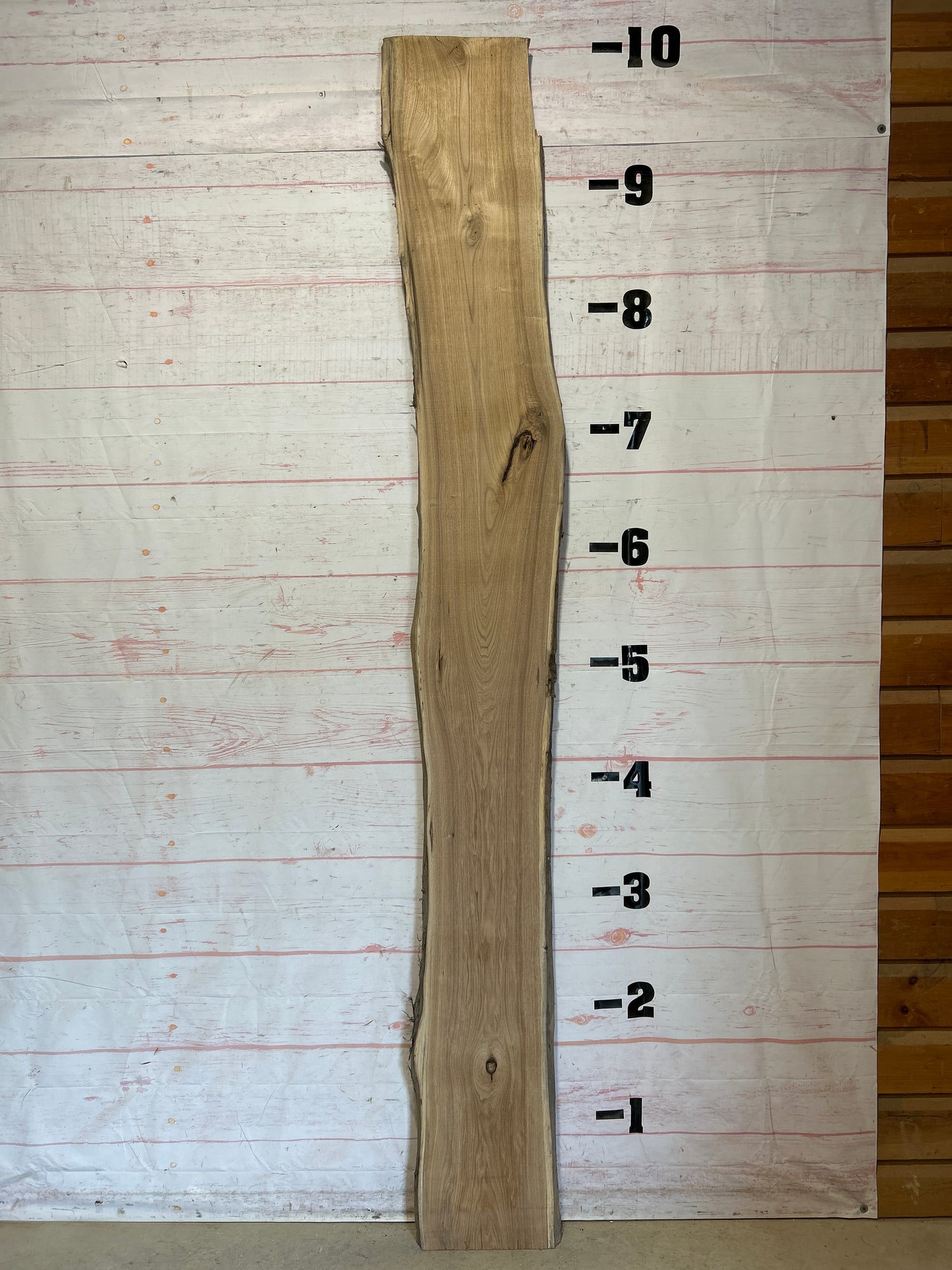 Live Edge Butternut Sku#25945-19