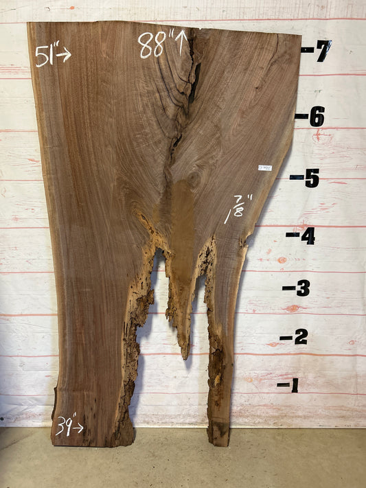Live Edge Walnut Sku#23569-55