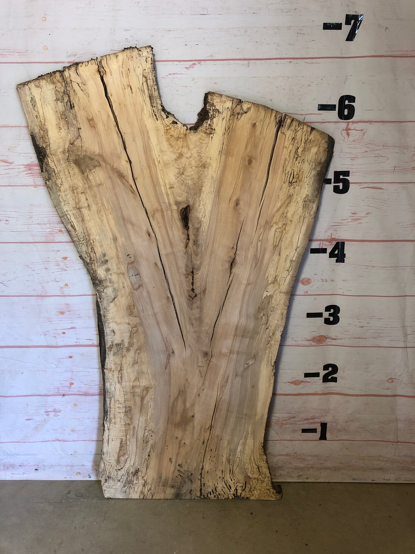Live Edge Spalted Maple Sku#23215S-47