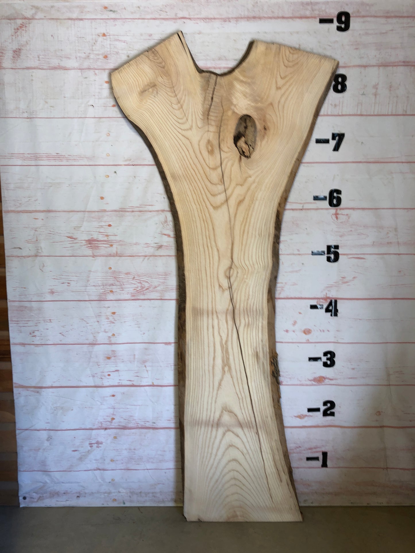 Live Edge Ash Sku#23100-51