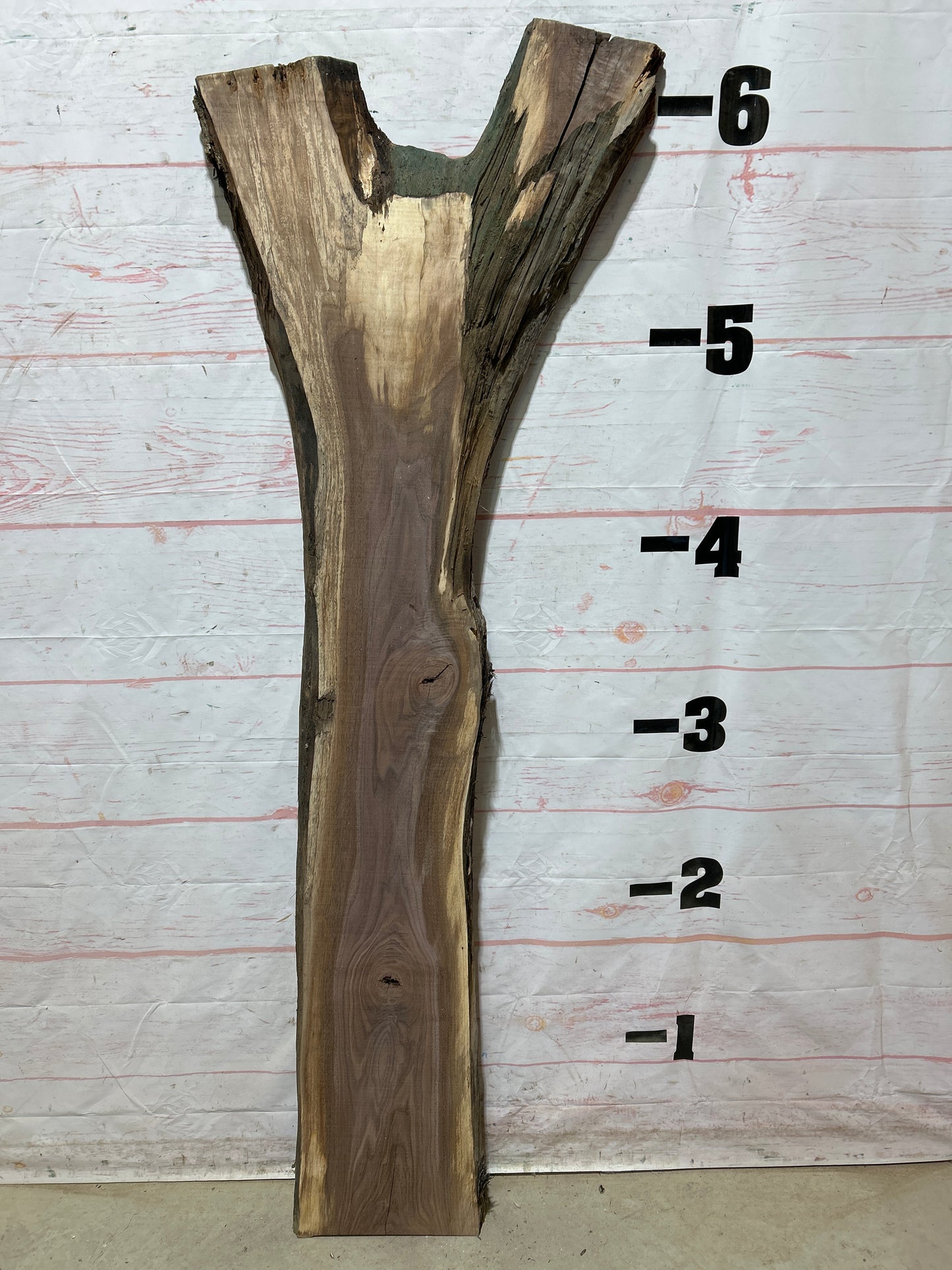 Live Edge Walnut Sku#27081G-20