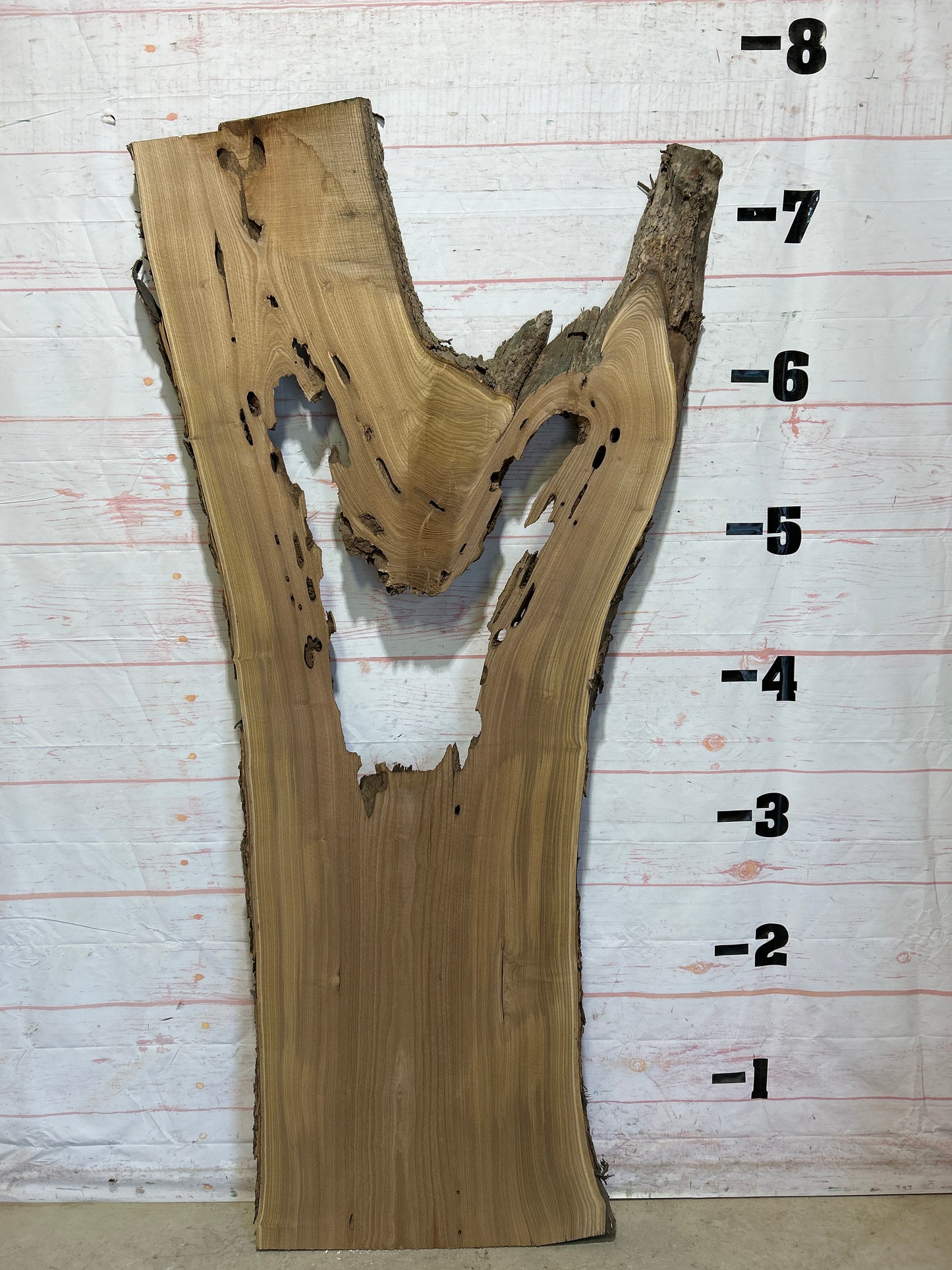 Live Edge Catalpa Sku#25896-46