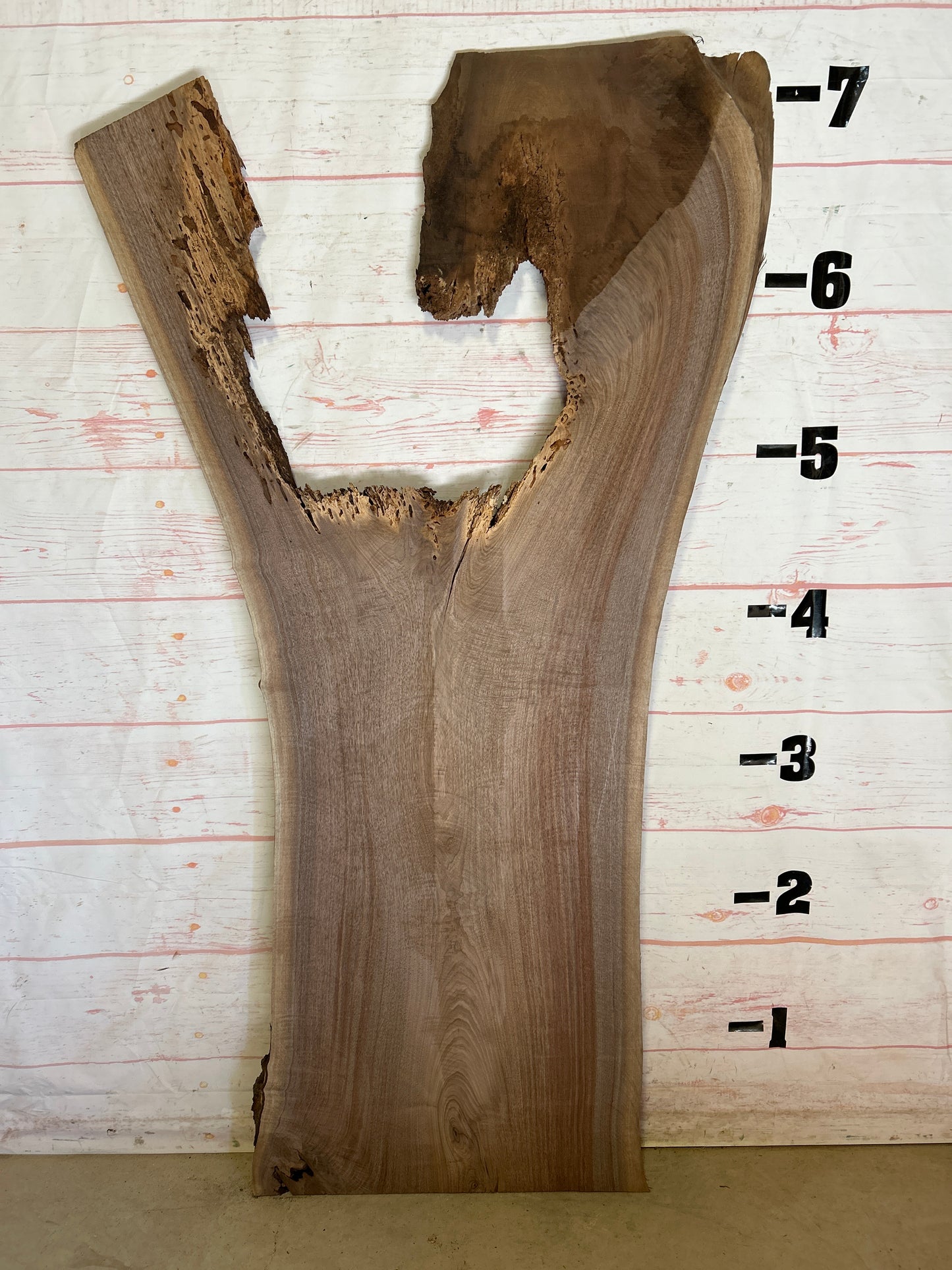 Live Edge Walnut Sku#24955-38