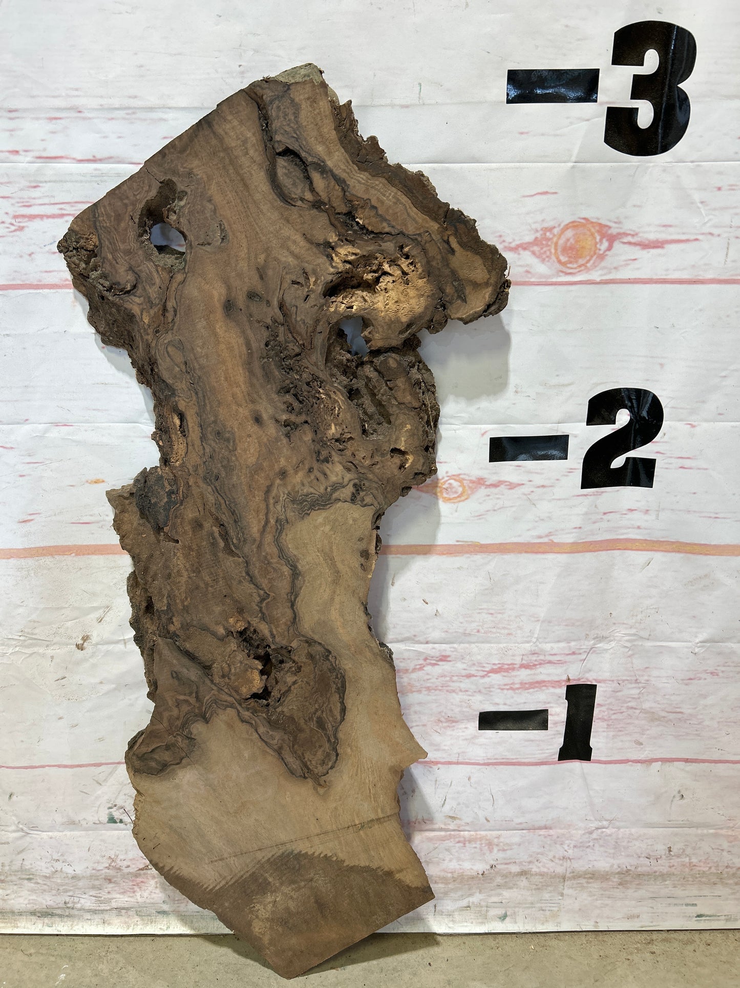 Live Edge English Walnut Sku#26549M-5