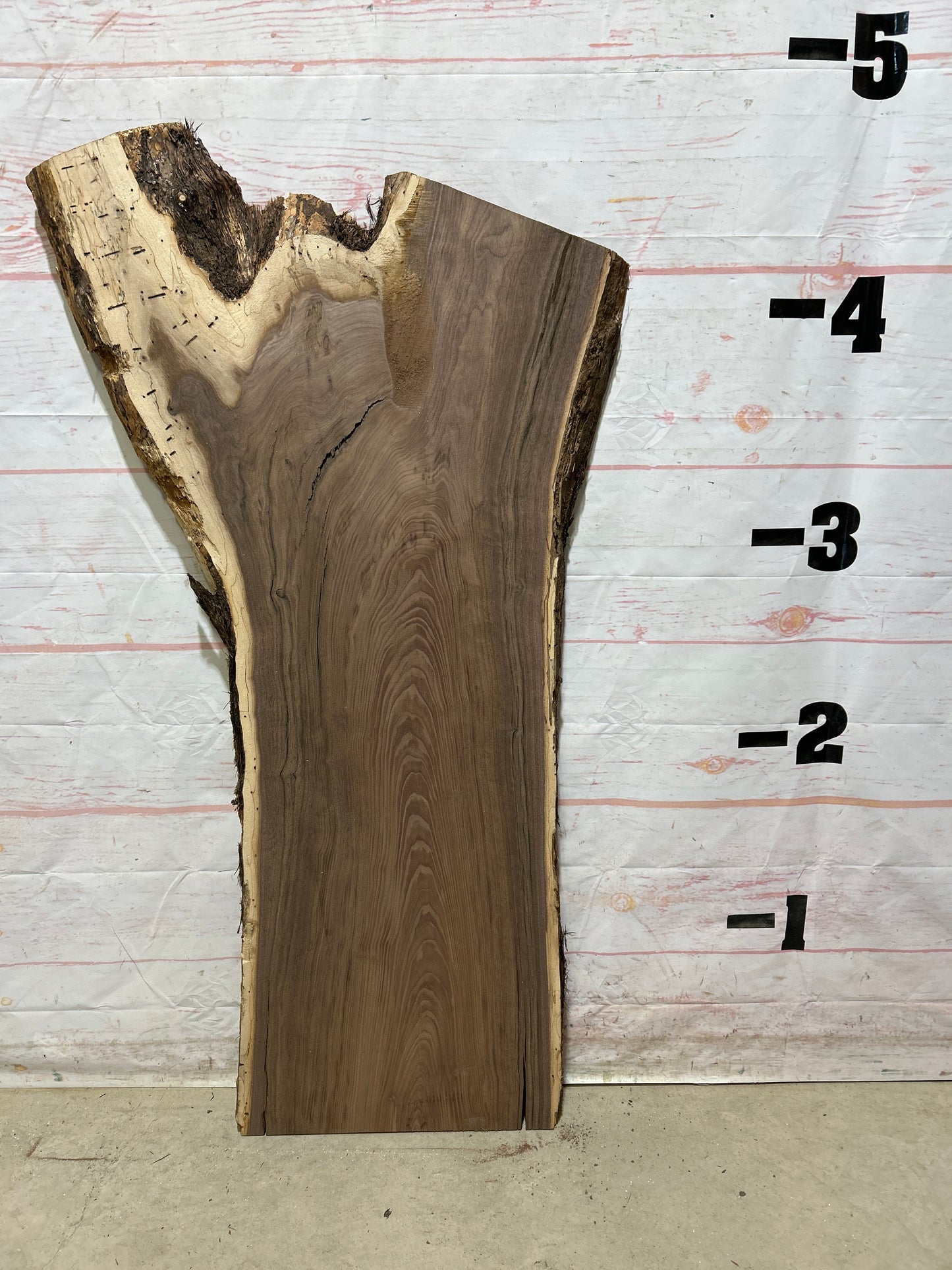 Live Edge Walnut Sku#26613A-19