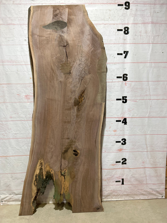 Live Edge Walnut Sku#27120-62