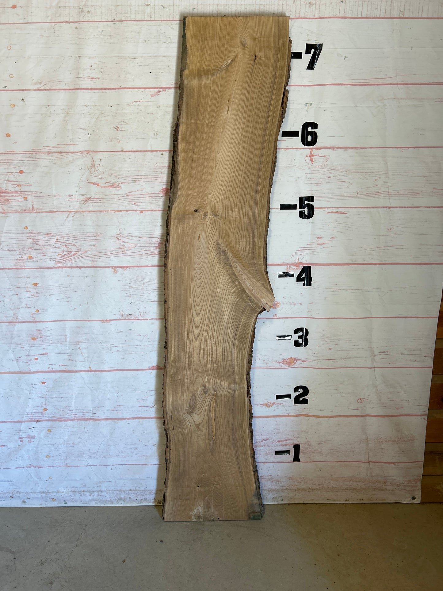 Live Edge Catalpa Sku#24949-20