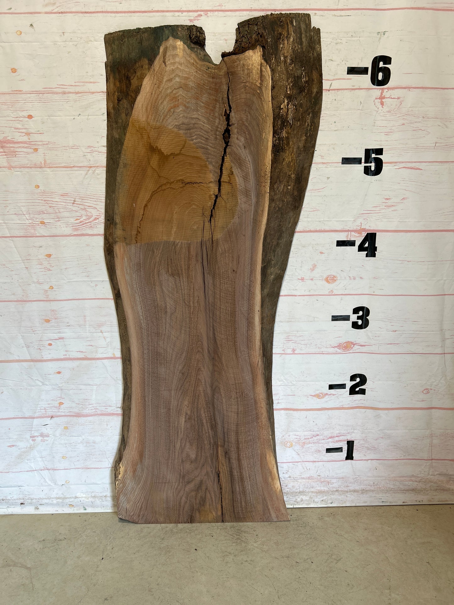Live Edge Walnut Sku#26148-31