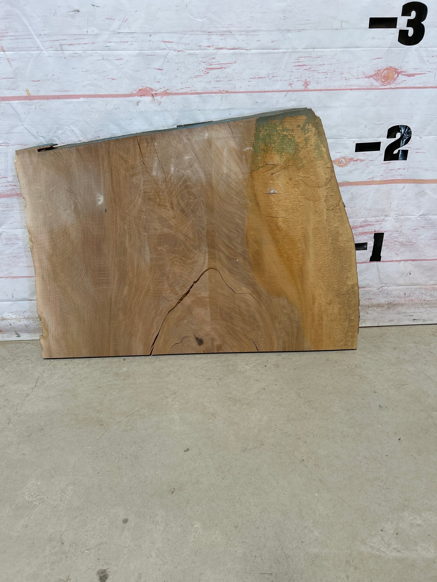 Live Edge Sycamore Sku#26019M-15