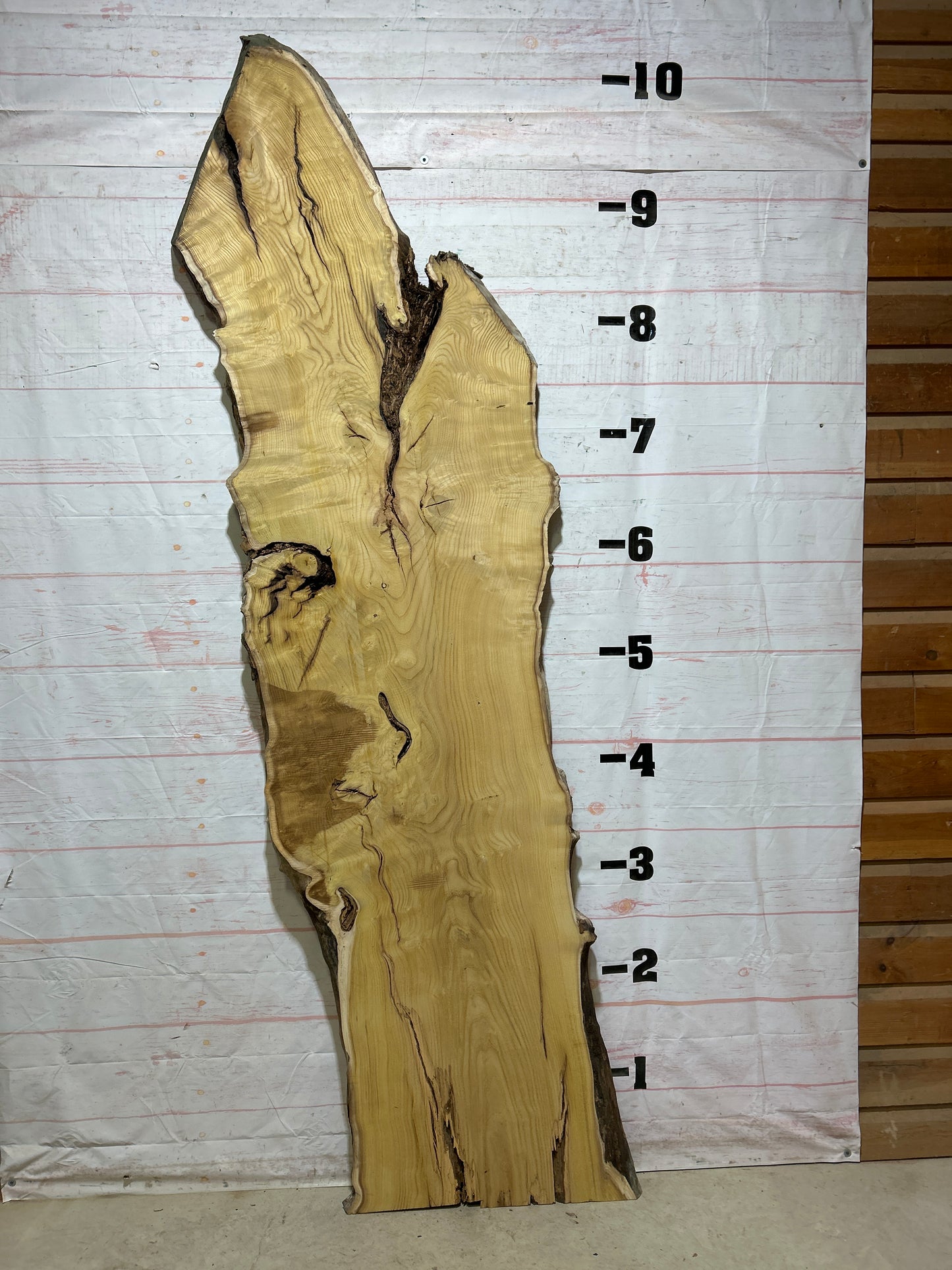 Live Edge Mulberry Sku#26934-49