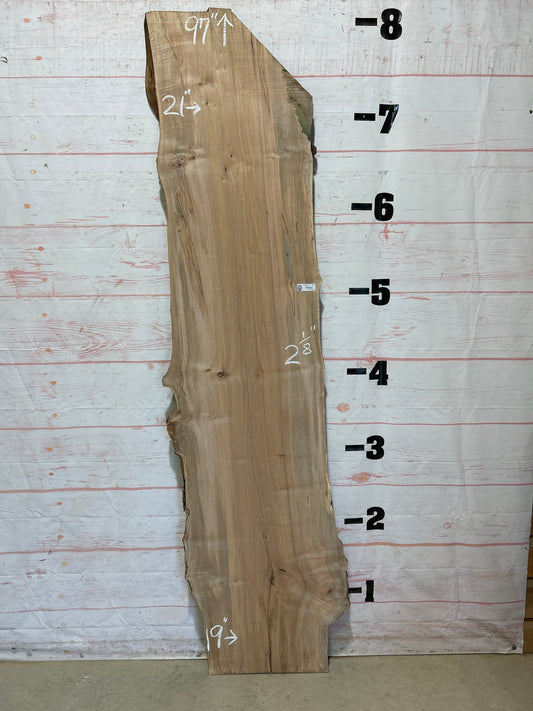 Live Edge Ambrosia Maple Sku#25257-27