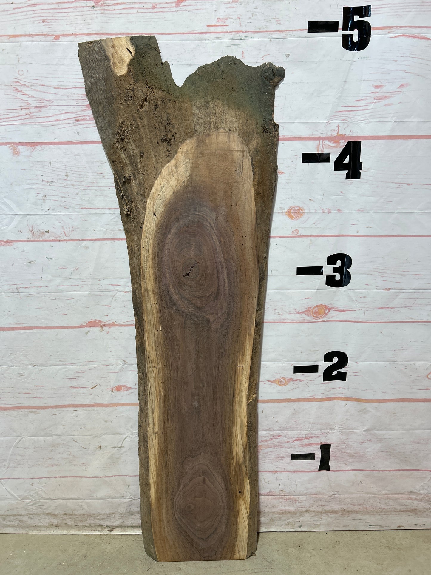 Live Edge Walnut Sku#25602M-10