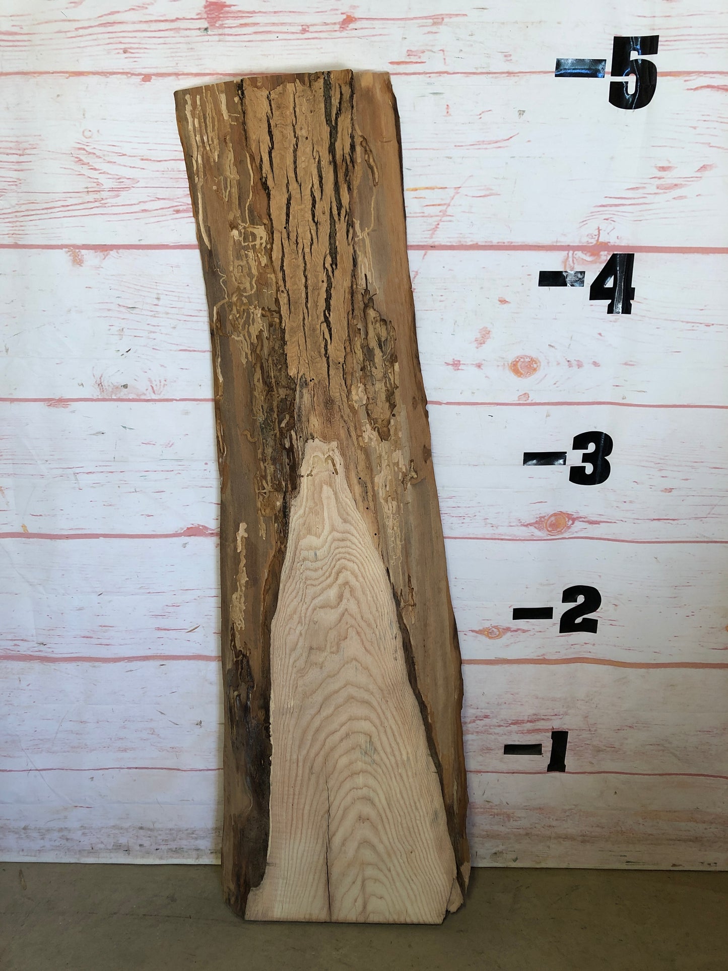 Live Edge Ash Sku#23092D-11