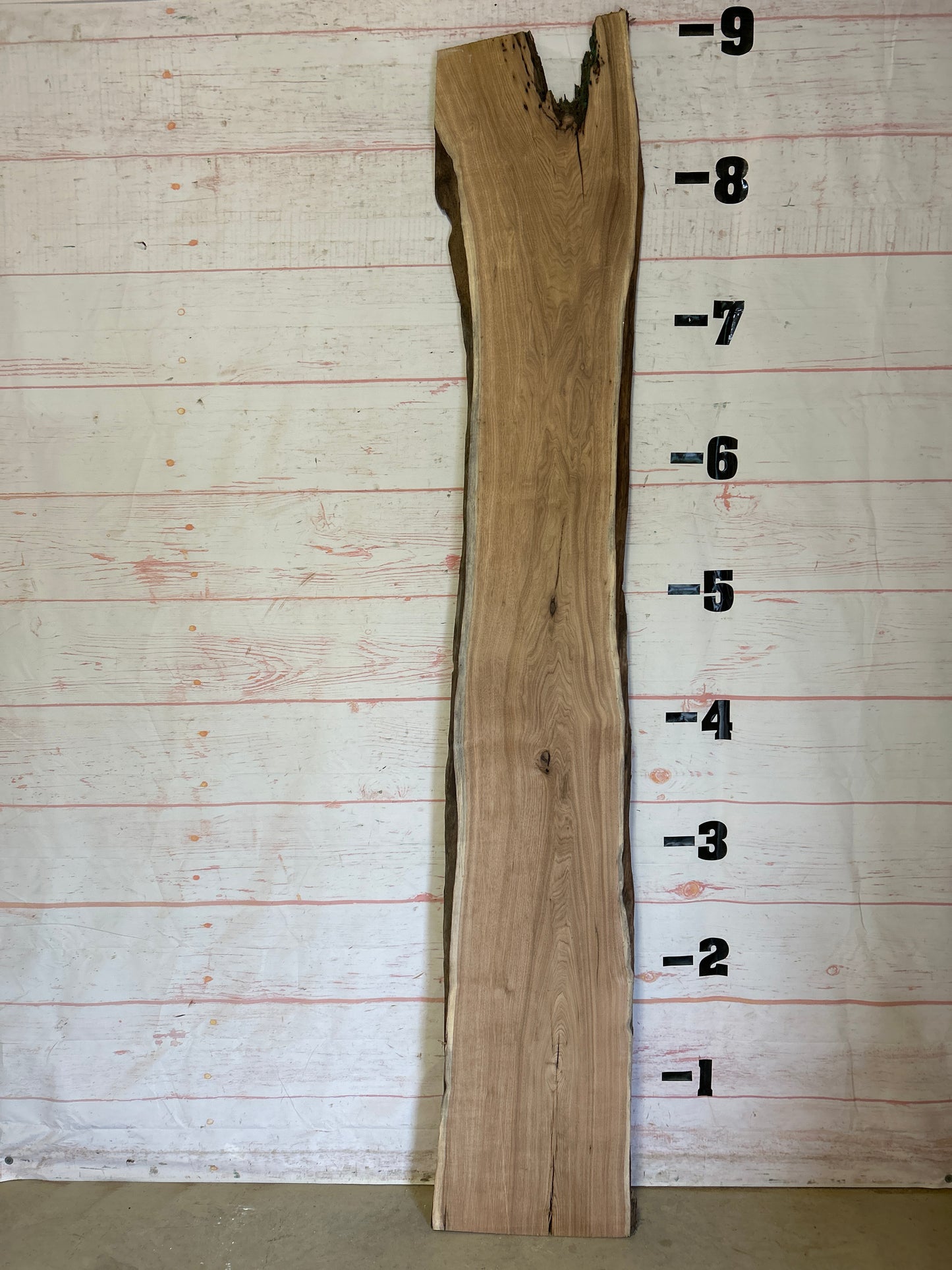 Live Edge Butternut Sku#25196-20