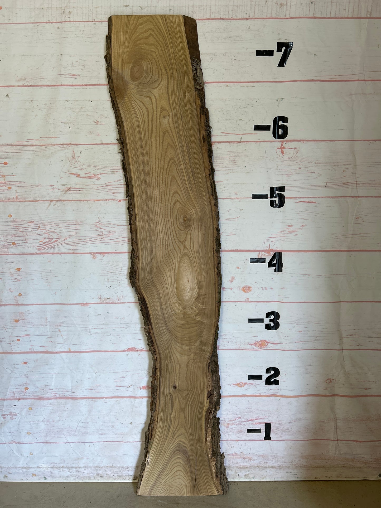 Live Edge Catalpa Sku#24948-16