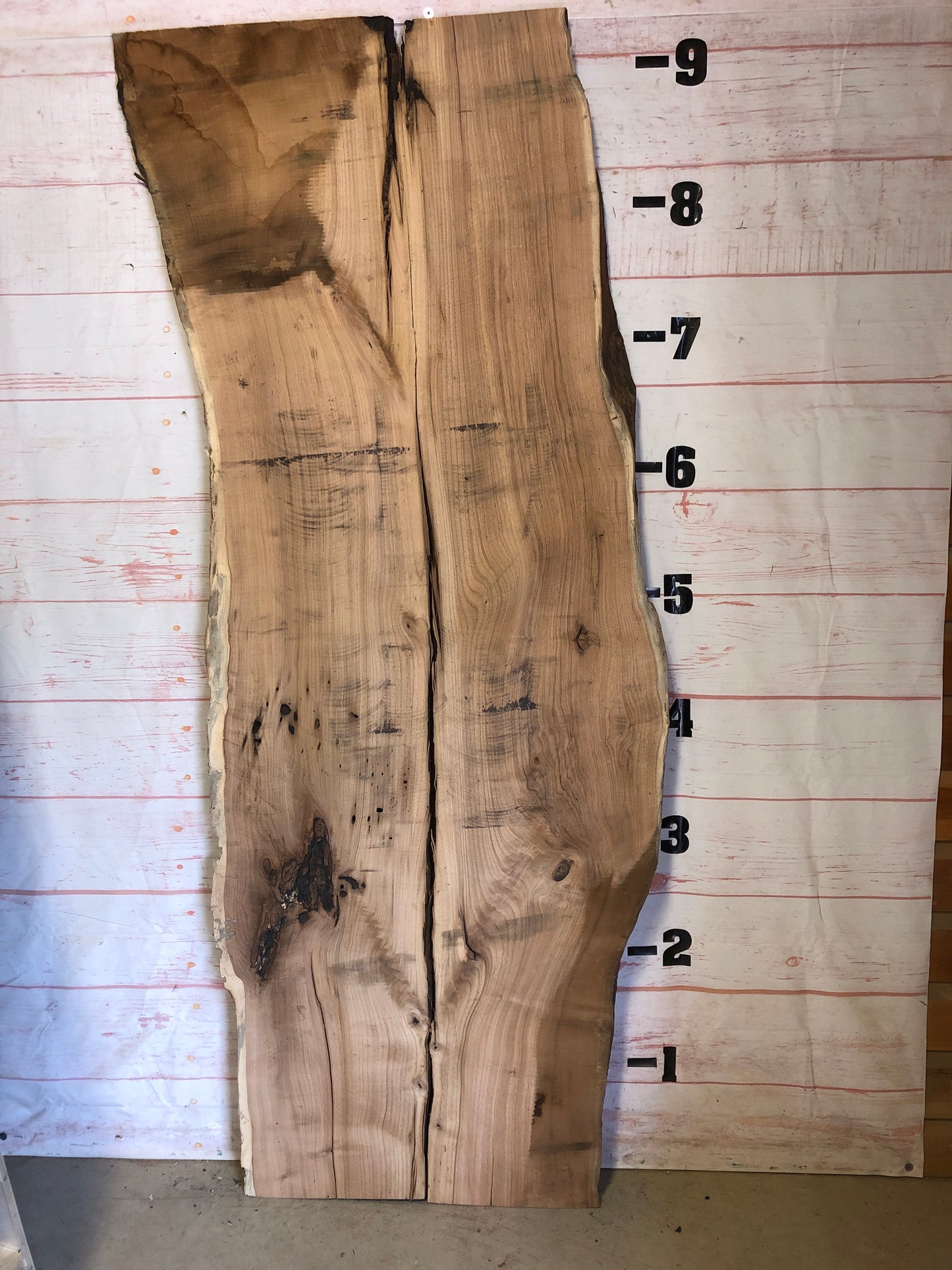 Live Edge Butternut Sku#23021-53