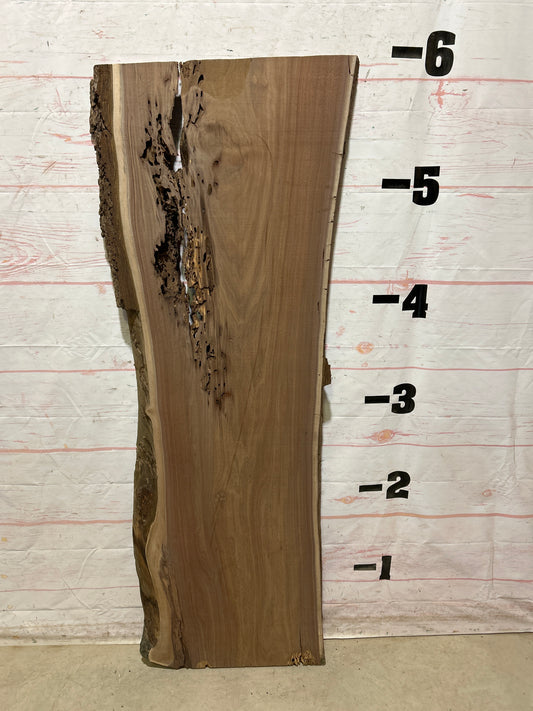 Live Edge Walnut Sku#27184A-24