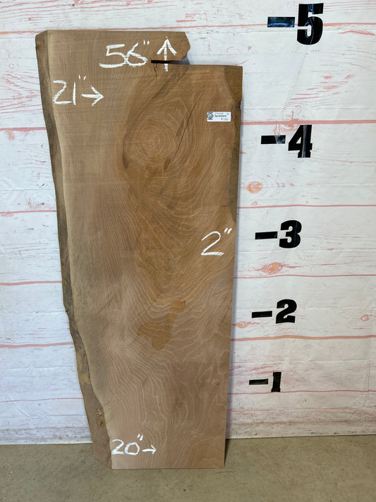 Live Edge Sycamore Sku#25534-16