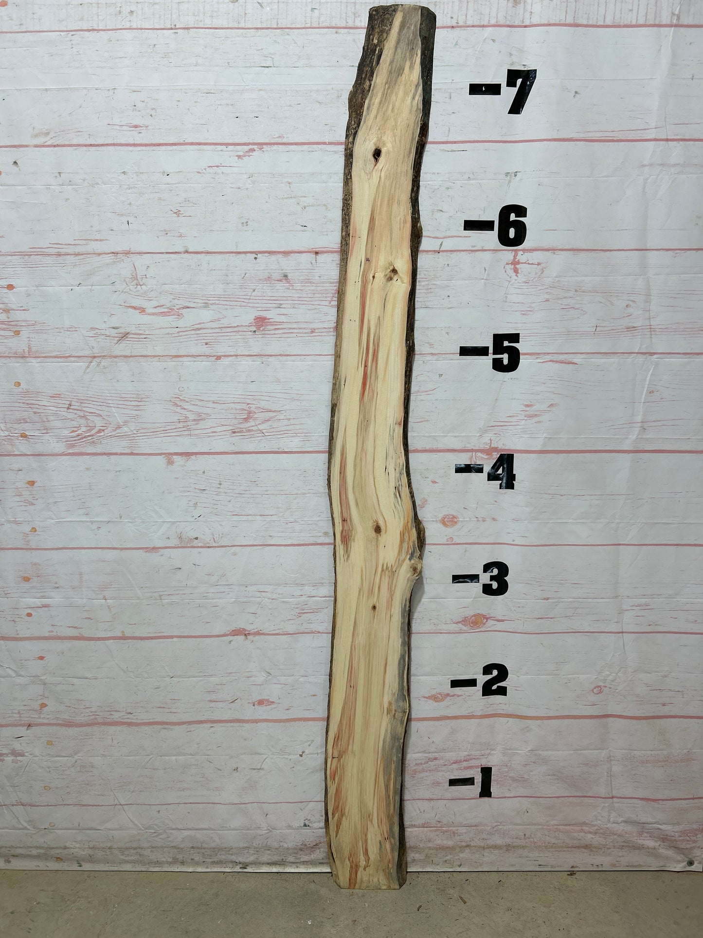 Live Edge Box Elder Sku#25729D-8