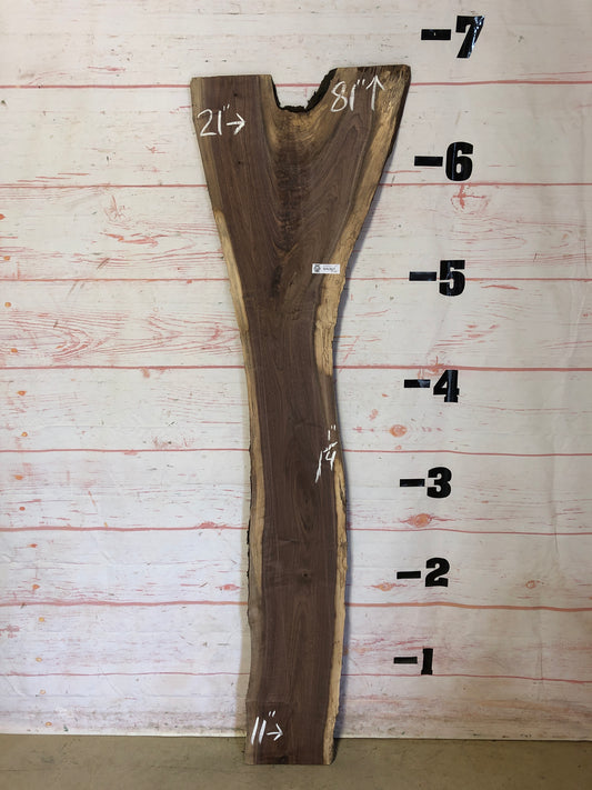 Live Edge Walnut Sku#23161G-11