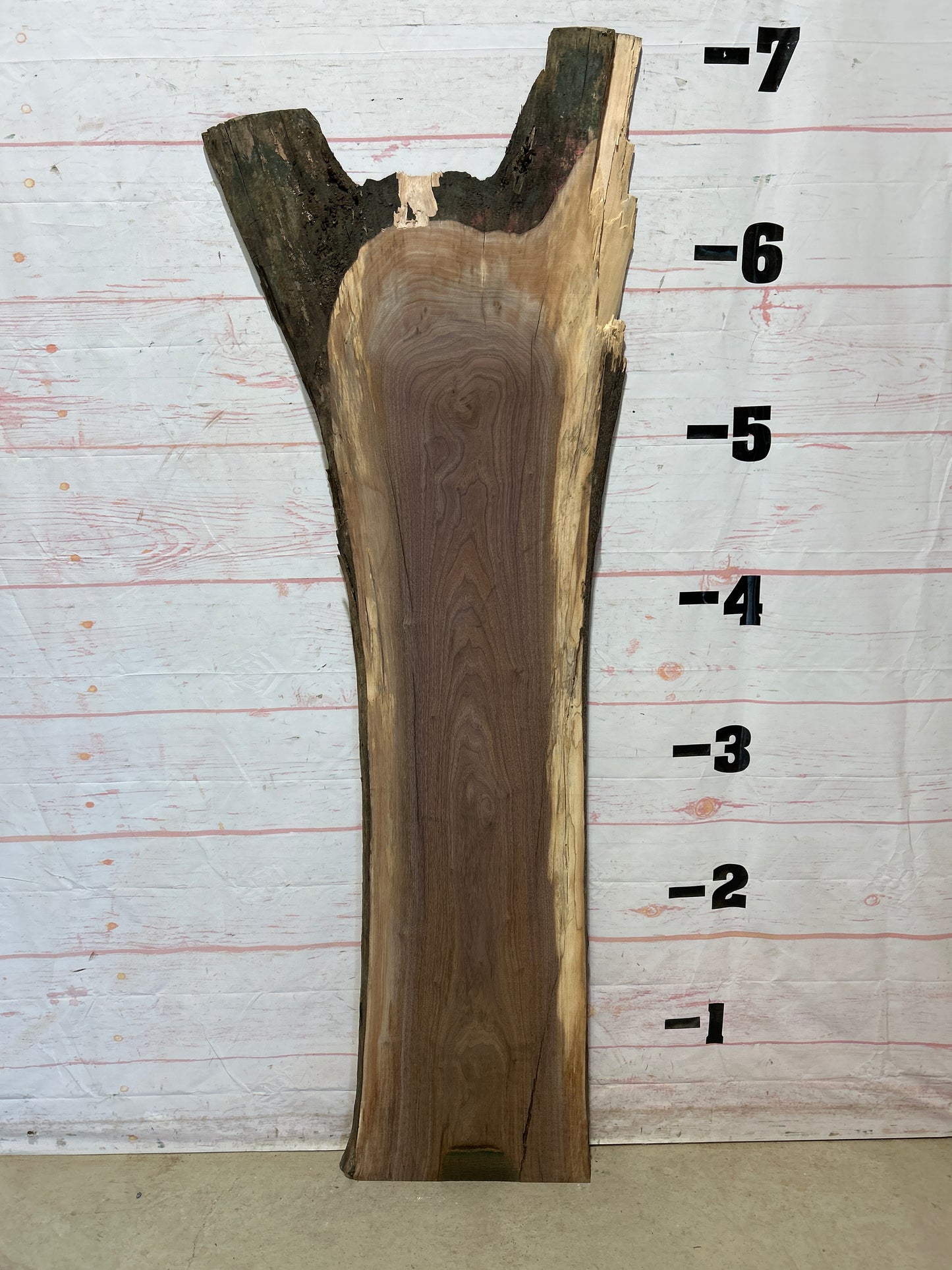 Live Edge Walnut Sku#26041A-26