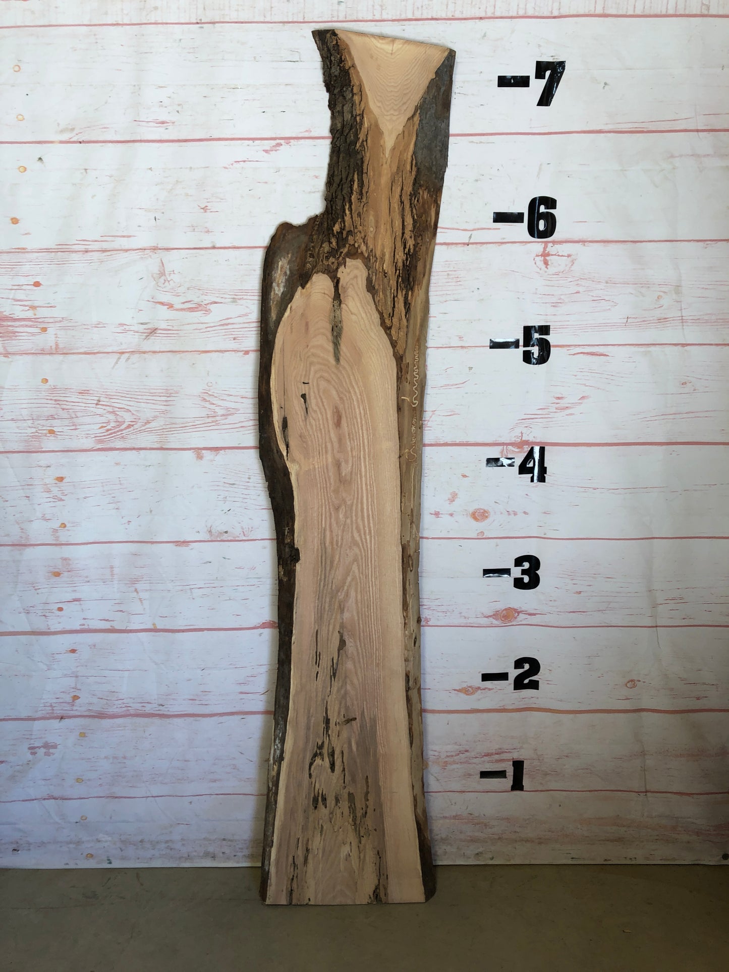 Live Edge Ash Sku#23093D-17