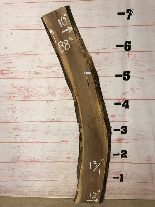 Live Edge Walnut Sku# 21539M-13