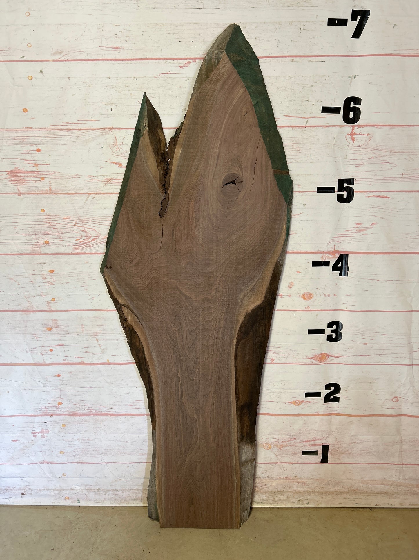 Live Edge Walnut Sku#24029SP1-29