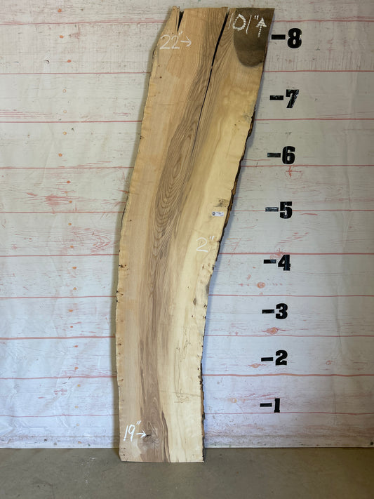 Live Edge Ash Sku#25198H-29