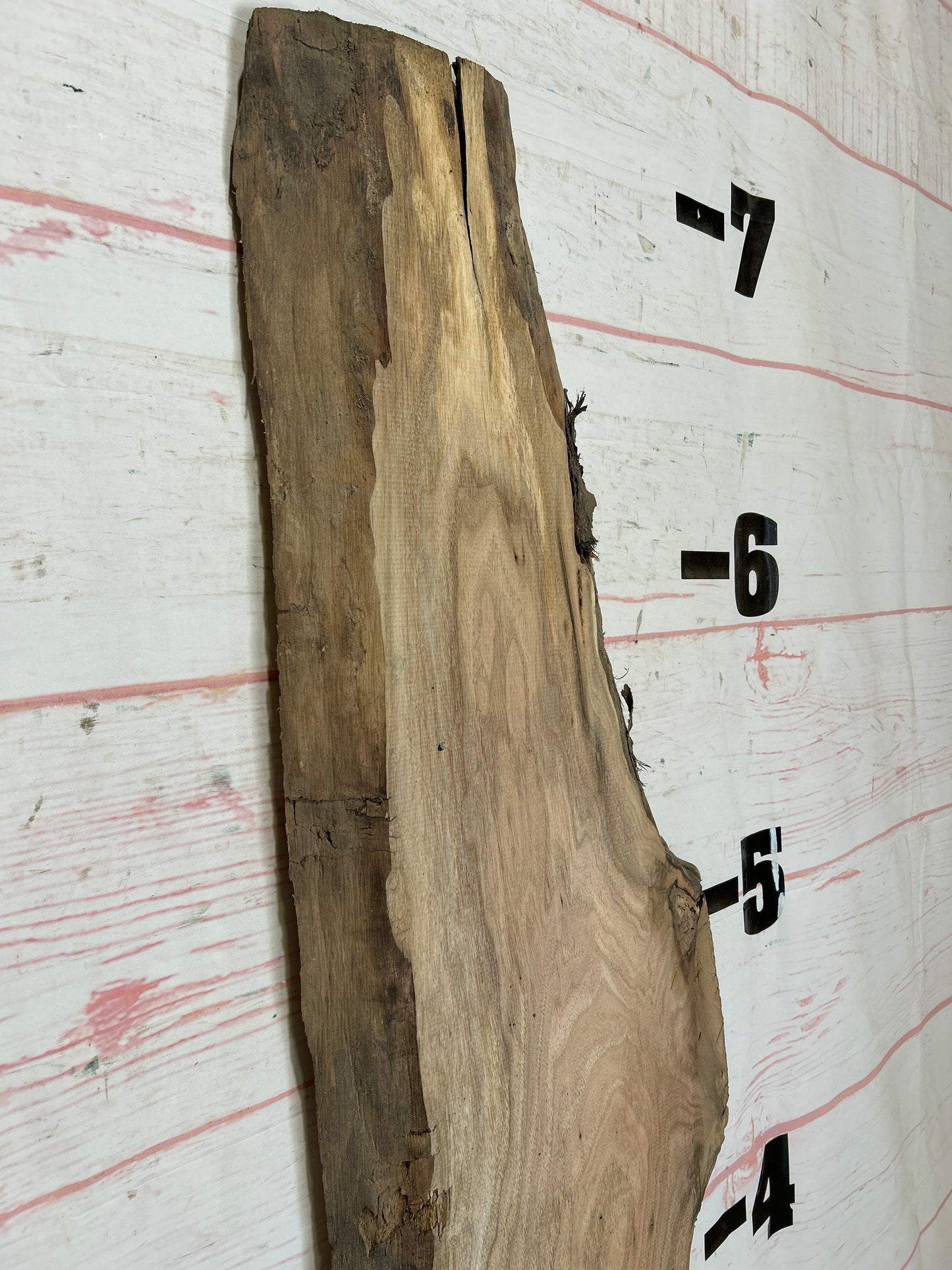 Live Edge Butternut Sku#25938C-11