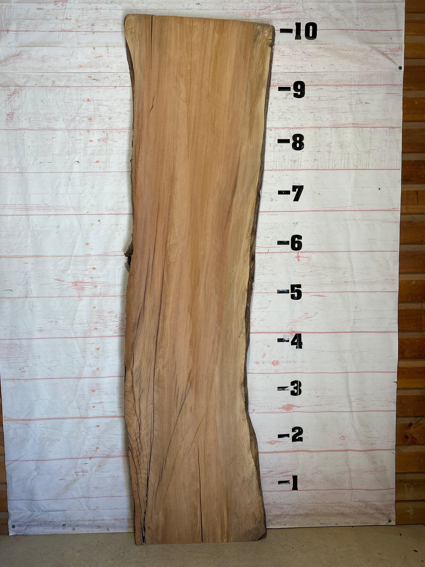 Live Edge Sycamore Sku#26535-68