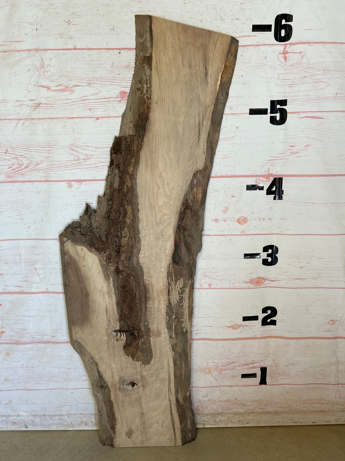 Live Edge Walnut Sku#25127M-15