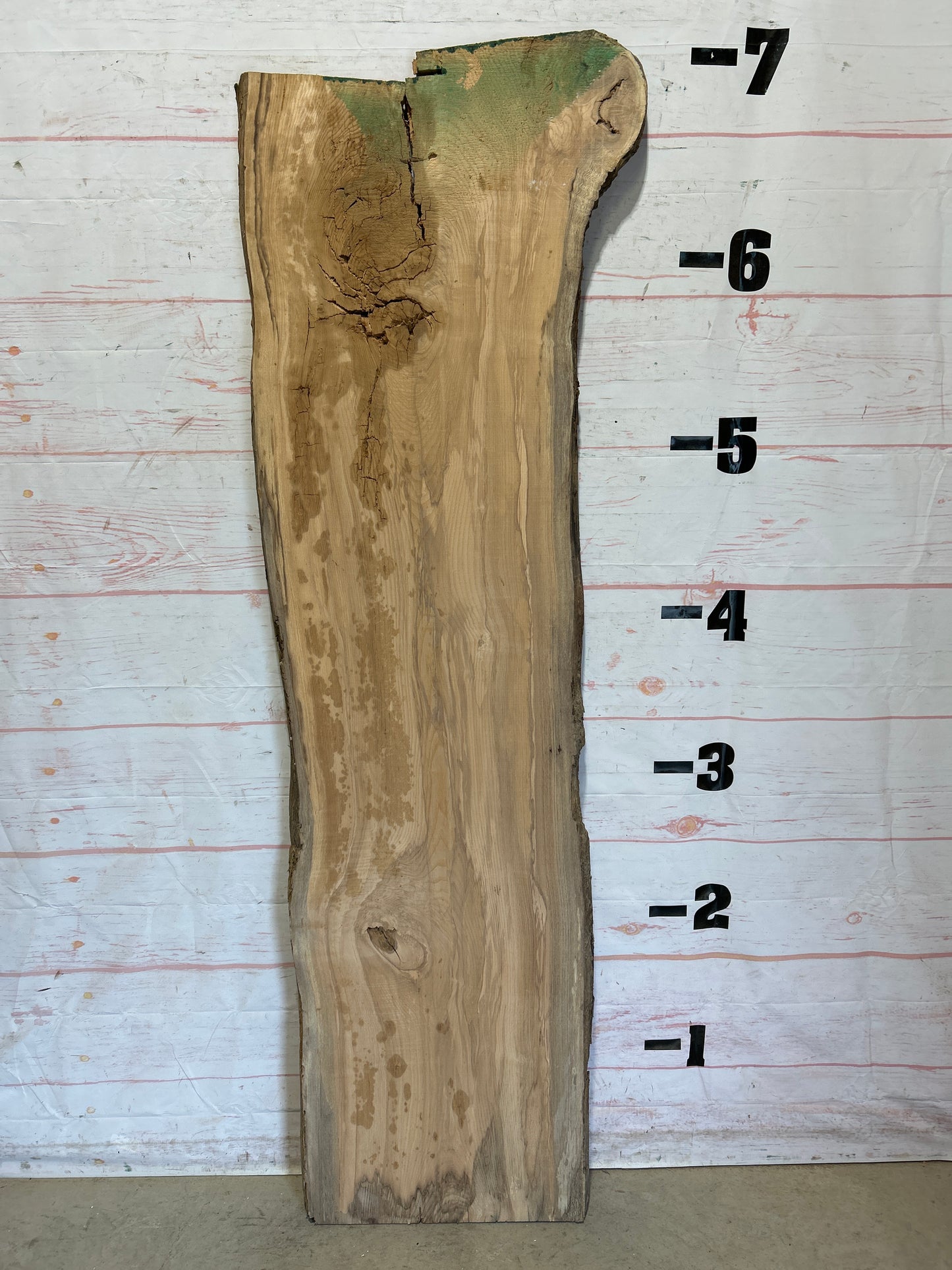 Live Edge Ash Sku# 26484H-27