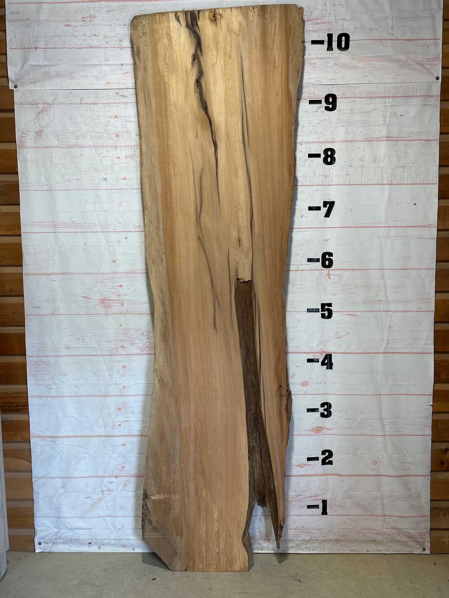 Live Edge Sycamore Sku#26540-60