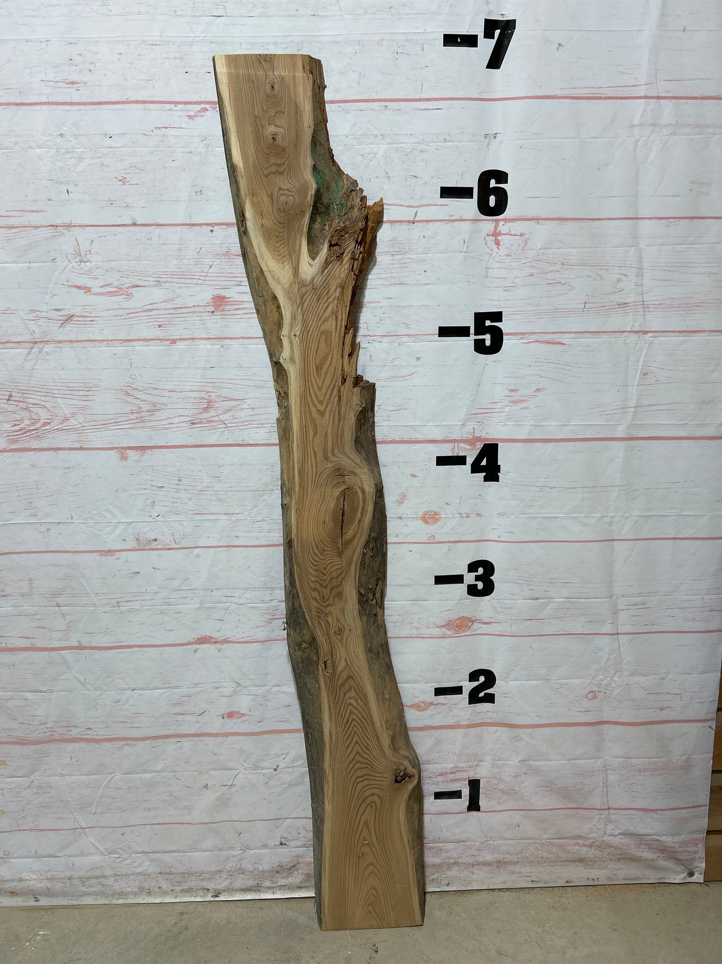 Live Edge Elm Sku#25253H-14