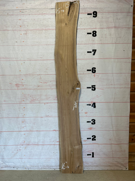 Live Edge Butternut Sku#25943-19