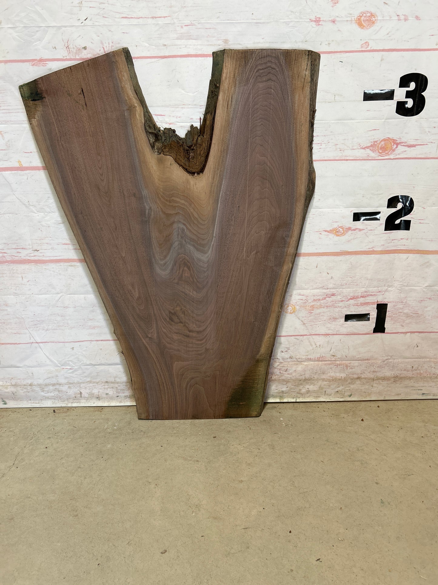 Live Edge Walnut Sku#26025M-10