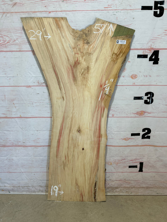 Live Edge Box Elder Sku#25284M-12