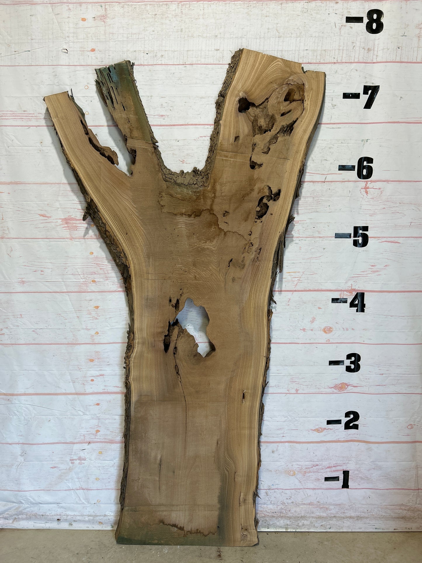 Live Edge Catalpa Sku#25899-47