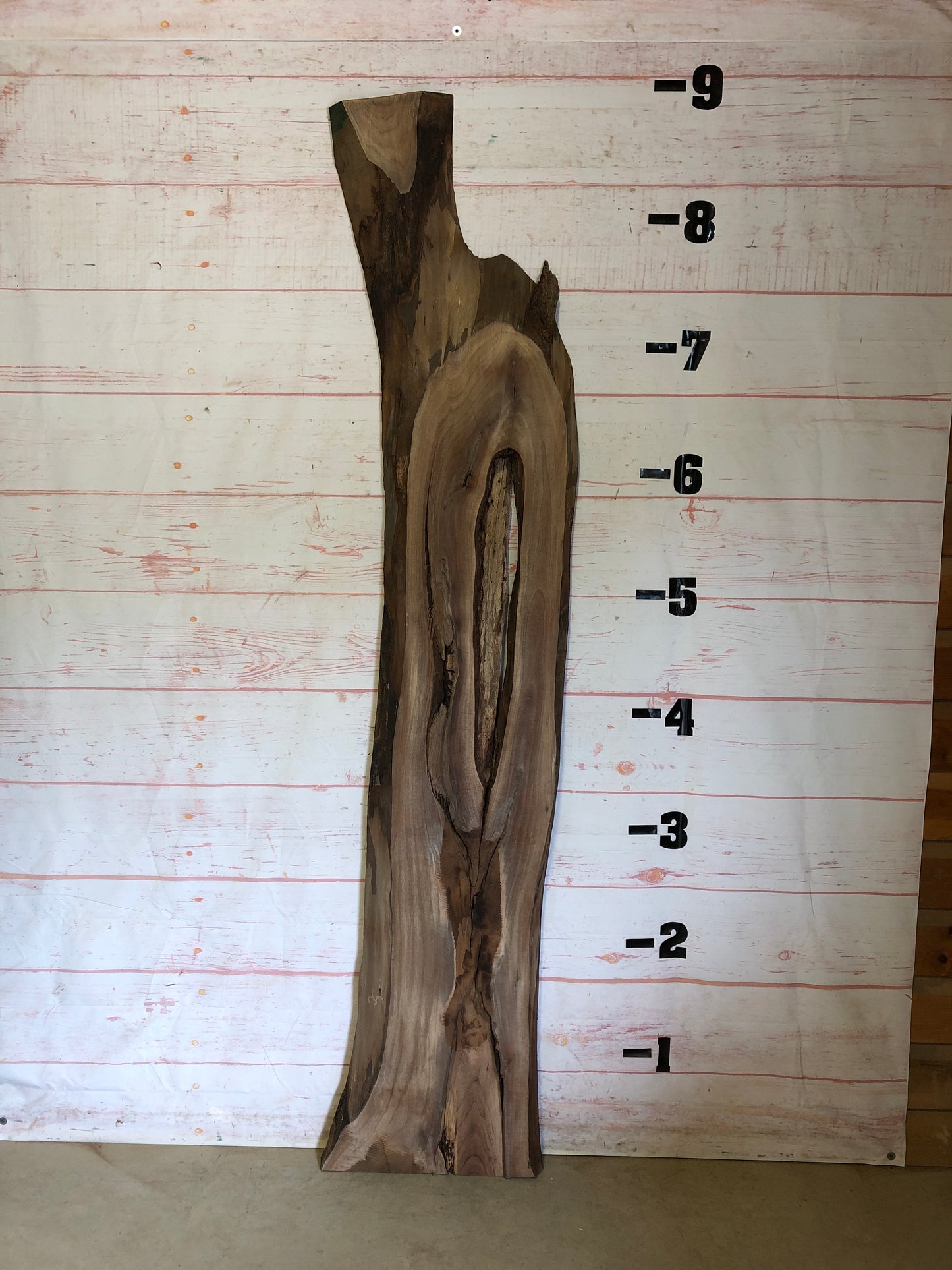 Live Edge Walnut Sku# 23480SP1-21