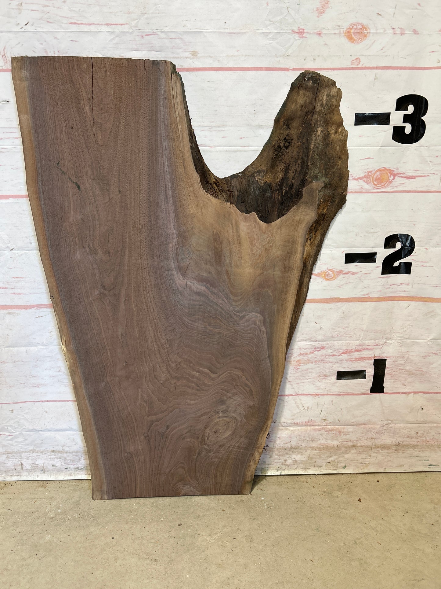 Live Edge Walnut Sku#26024M-9