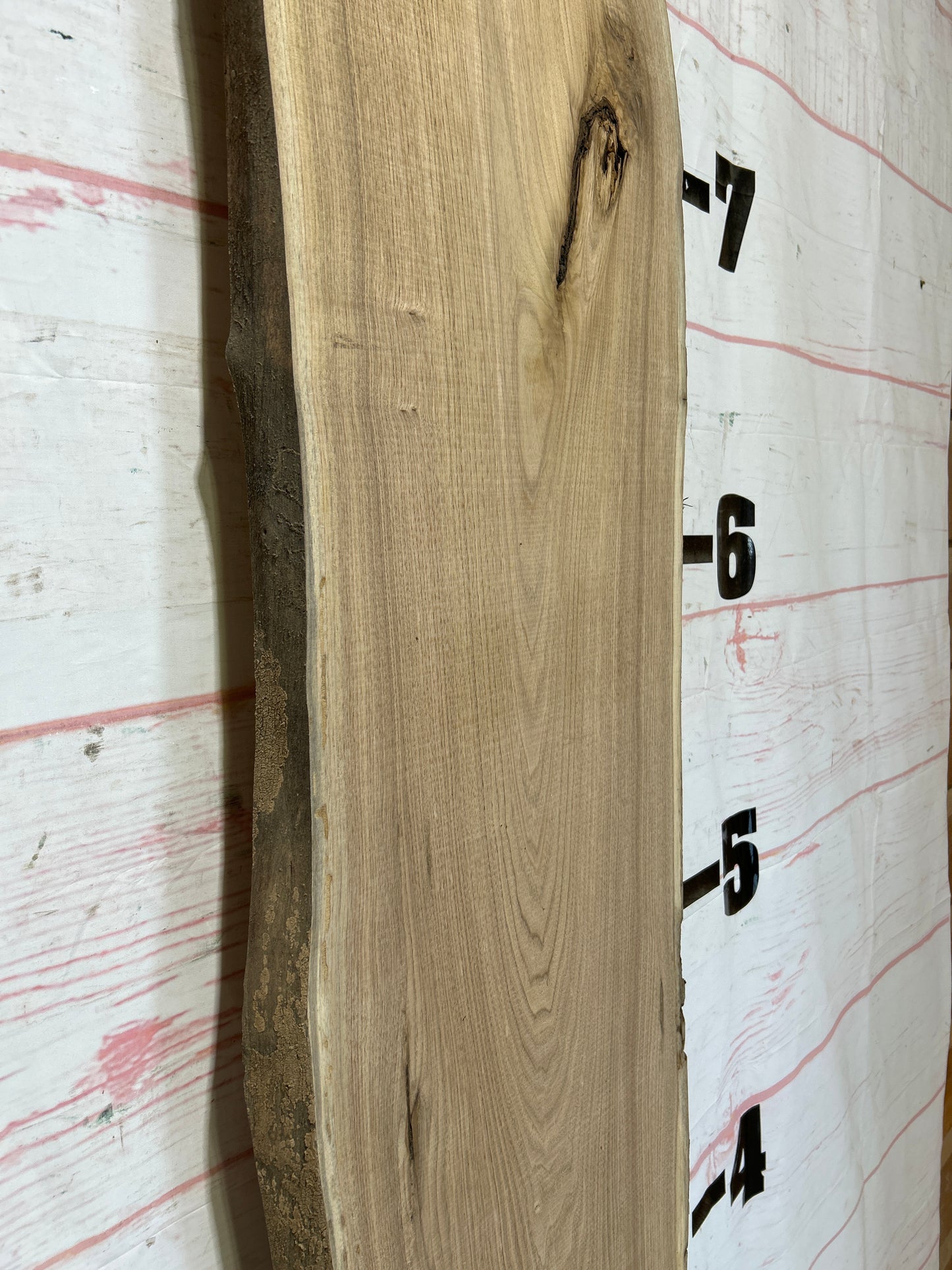 Live Edge Butternut Sku#25945-19
