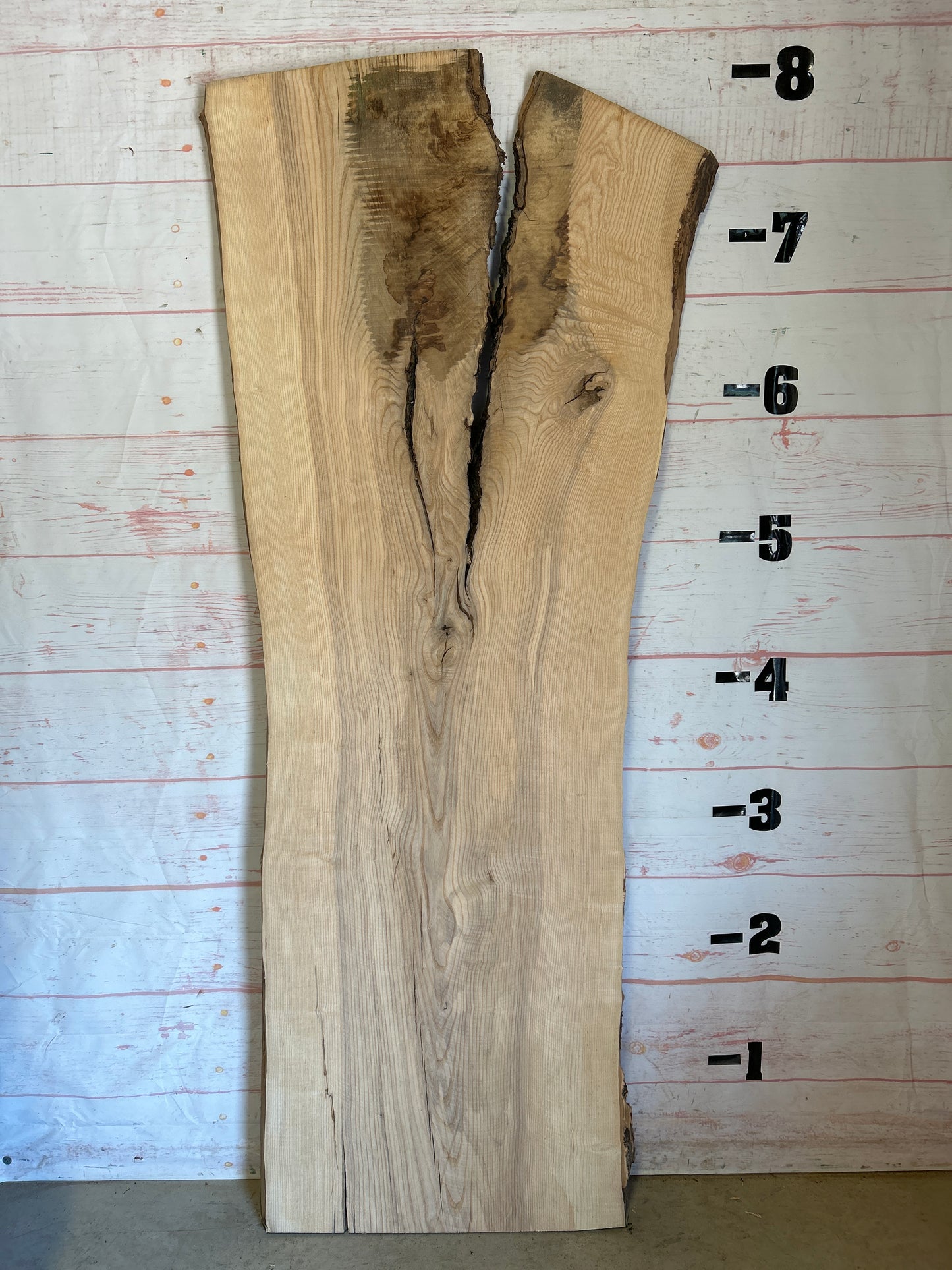 Live Edge Ash Sku# 23873S-50
