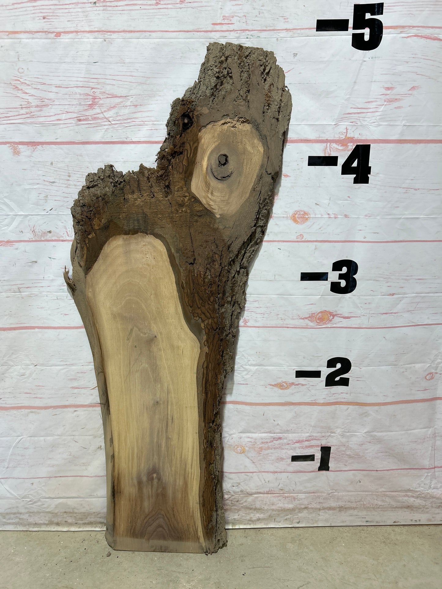 Live Edge Walnut Sku#25576M-9
