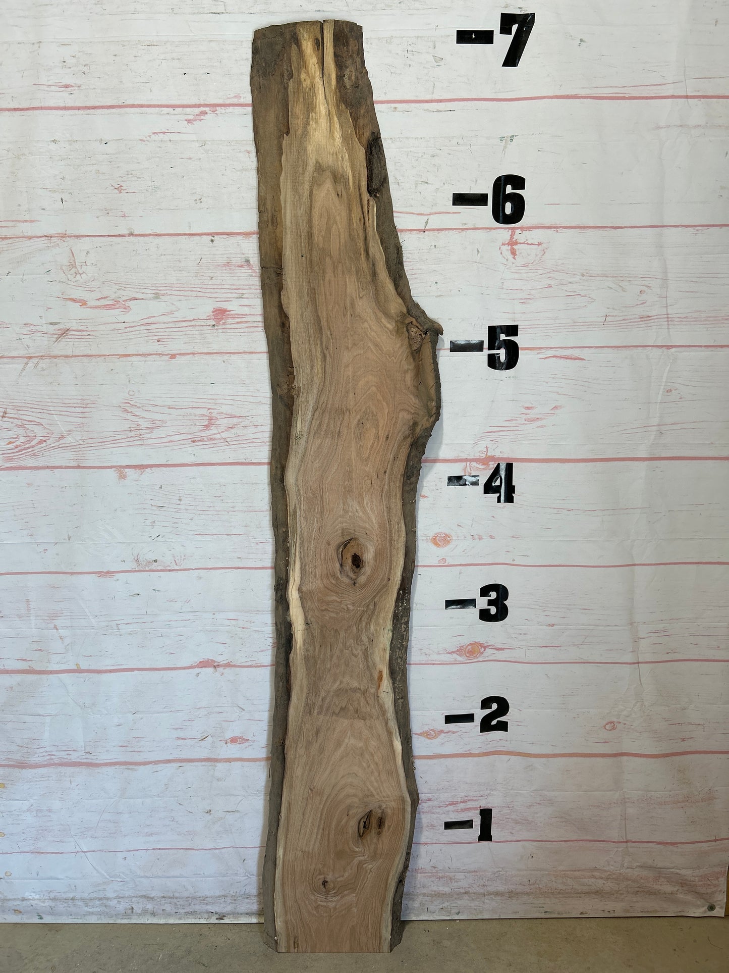 Live Edge Butternut Sku#25938C-11