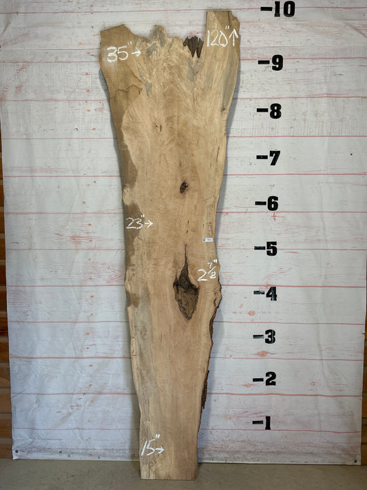 Live Edge Maple Sku#26339-63