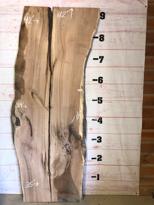 Live Edge Butternut Sku#23021-53