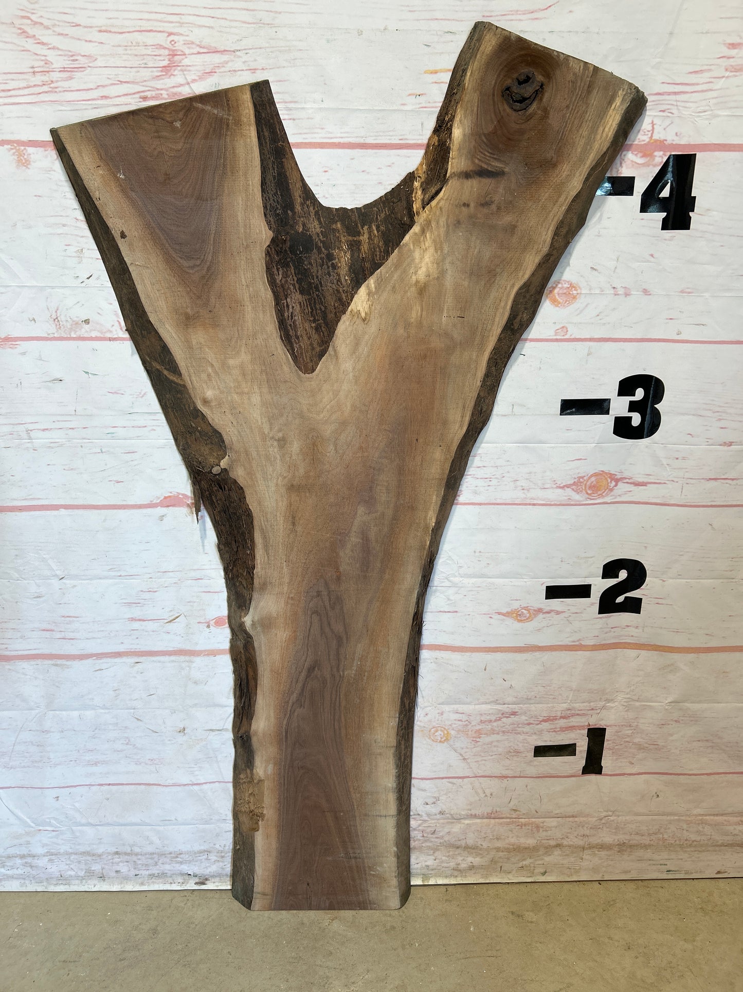 Live Edge Walnut Sku#25670M-12