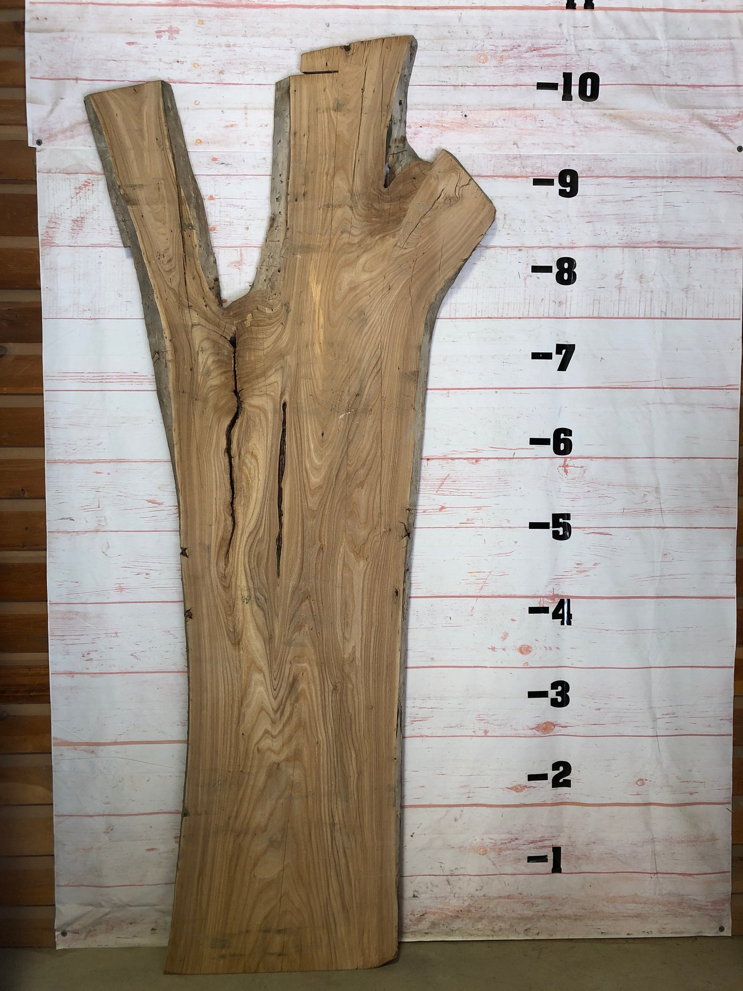 Live Edge Elm Sku#22637-71